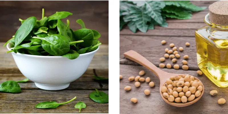 alimente care conțin fier: legume și leguminoase